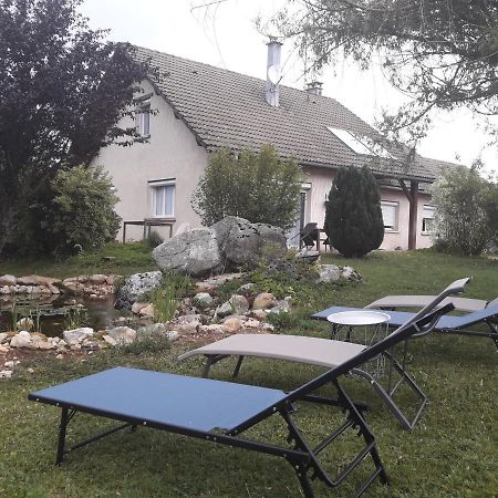 Chambre D'Hotes Comme Une Evidence Clairvaux-Les-Lacs Zewnętrze zdjęcie